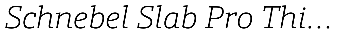 Schnebel Slab Pro Thin Italic